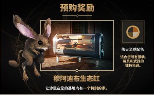 仙踪林：青春活力领航，公司正式成立，展现19岁活力新篇章