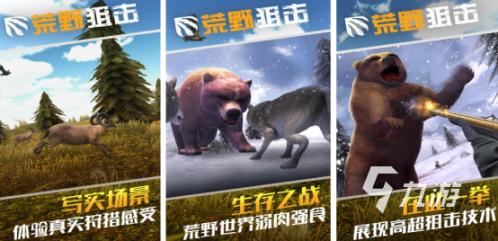 持续16载精选视频内容，寻找独特精品，今日全新呈现