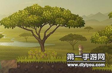 揭秘国产精华液一区二区差异，护肤新选择解析