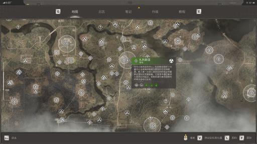 群星闪耀！娇妻盛宴汇聚杂交魅力，共谱欢乐篇章