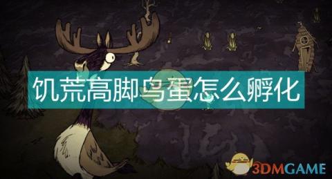 神秘性过程揭秘：揭示人性勇敢与决心，一场深入探究的性过程故事