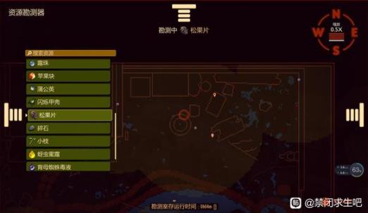 惊险刺激！扑克牌狂欢引发的尖叫与疼痛故事
