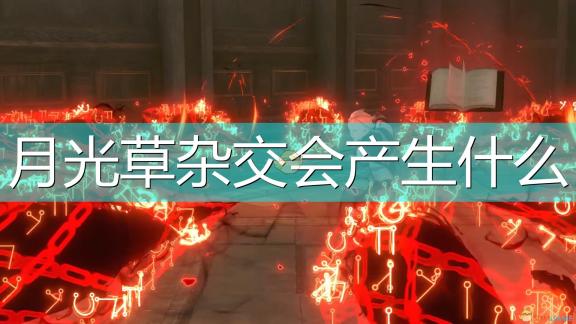 多彩瓜果盛宴：田园新图解锁丝瓜、黄瓜、草莓、榴莲等新鲜瓜果魅力，污日葵秋葵精彩互动
