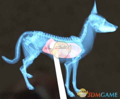 全新革新：高HP系统引领未来游戏体验，玩家战斗激情全面升级