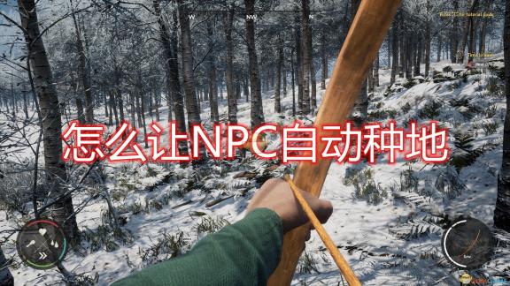 突破边界：海量视频探索，探索视频创作新纪元
