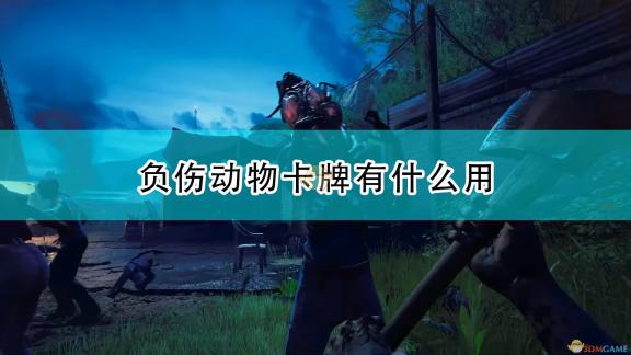 欧美盛放风采：绚烂美艳盛况再现，国际美艳风情展现新篇章