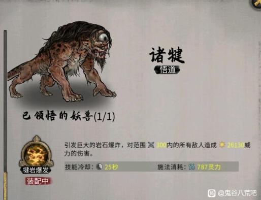 多彩果蔬盛夏，时令水果美味与健康并存