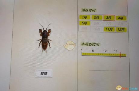 探索未知的魅力：女生探洞新风尚：一手掌握，探索未知世界的女性力量