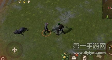 新鲜食材大观园：多彩食材齐聚，茄子丝瓜草莓香草榴莲引领健康潮流